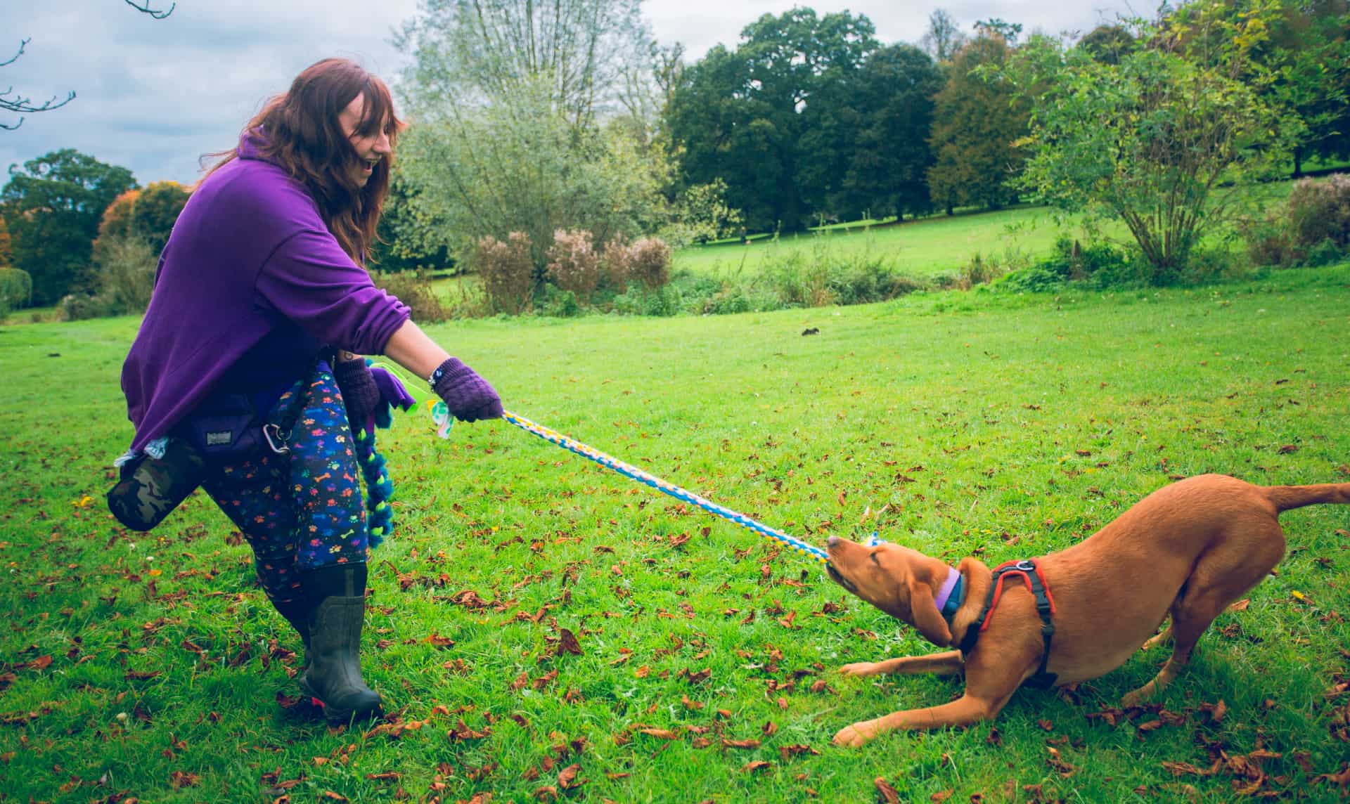 Paiges Pawfect Bespoke dog training
