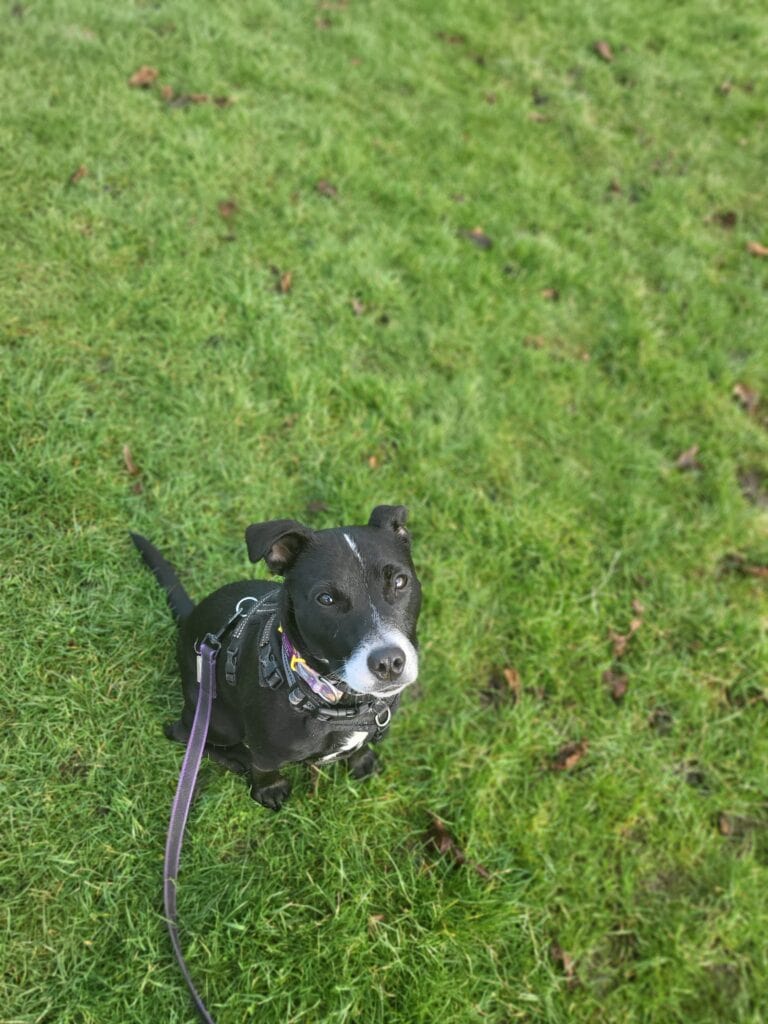 16th February 2022 (3)