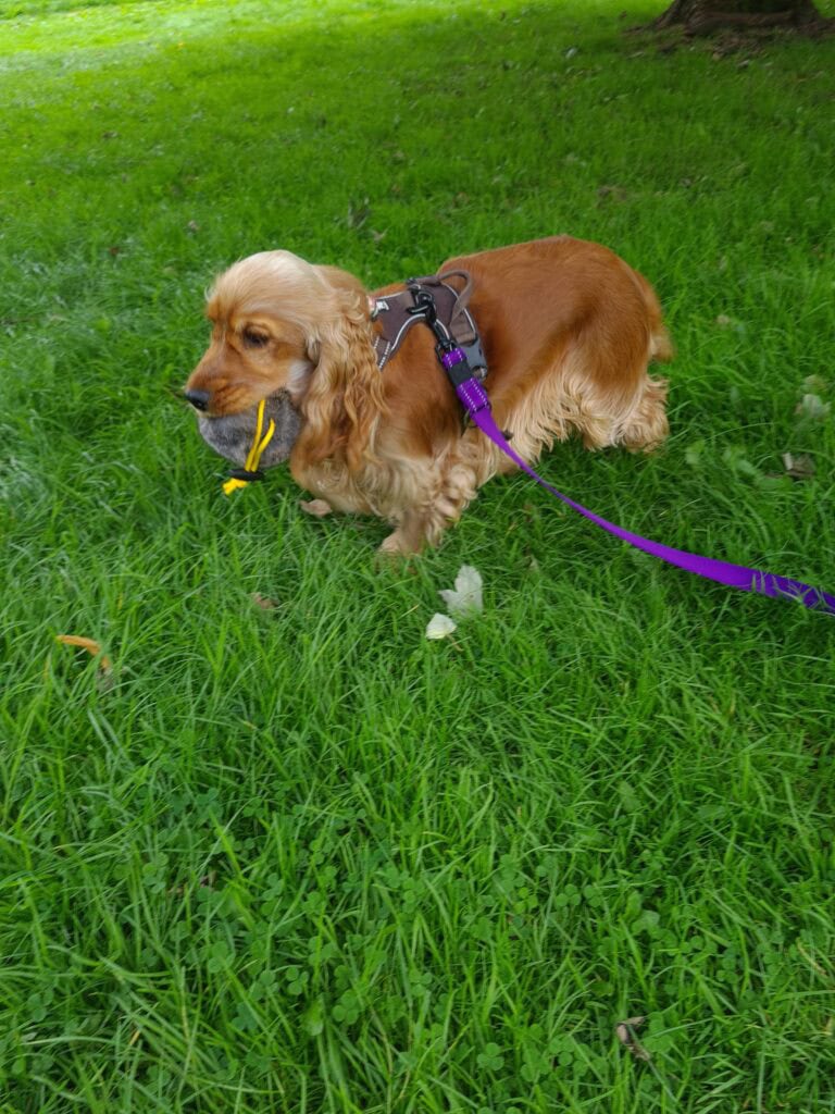 31st August 2020 (3)