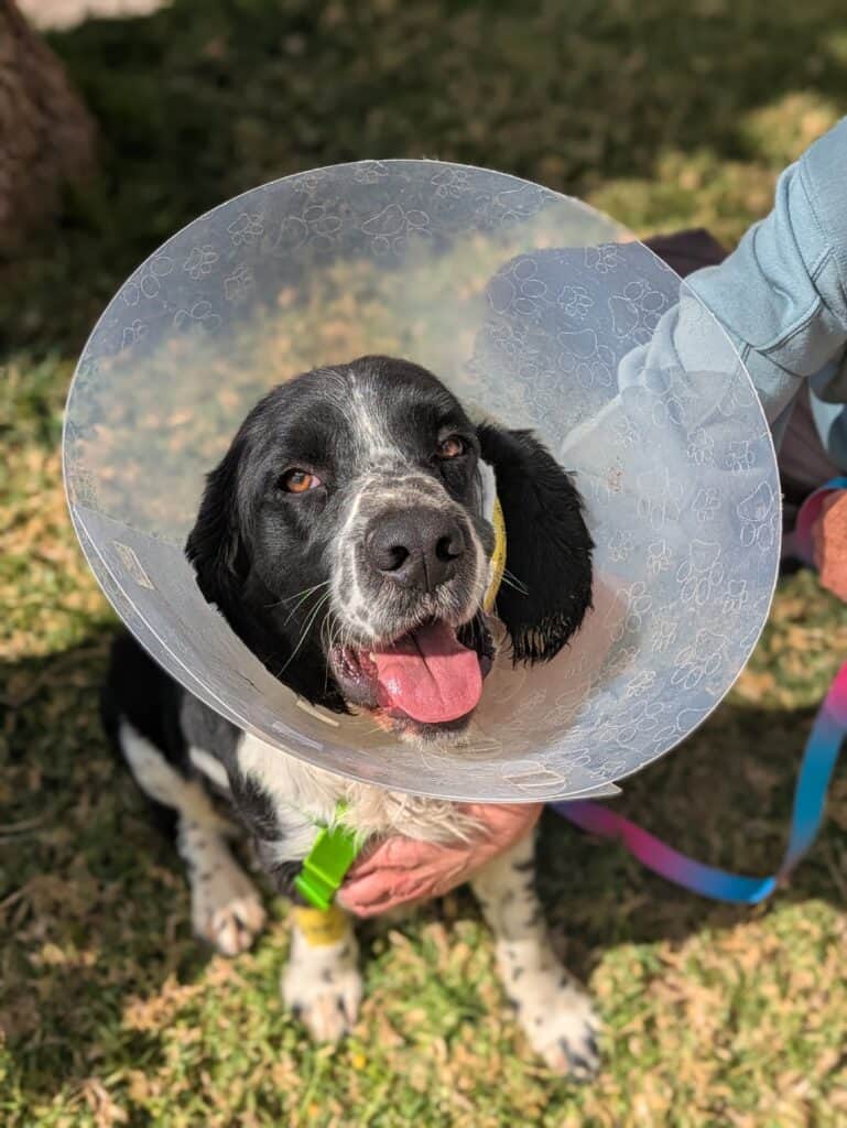 PXL 20250320 082752393.PORTRAIT