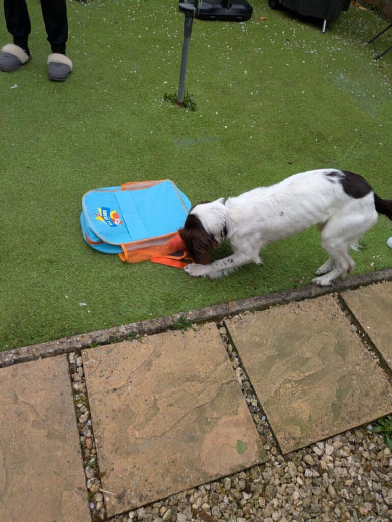 3749a145 62df 4d1c b723 72cca2b71cc9