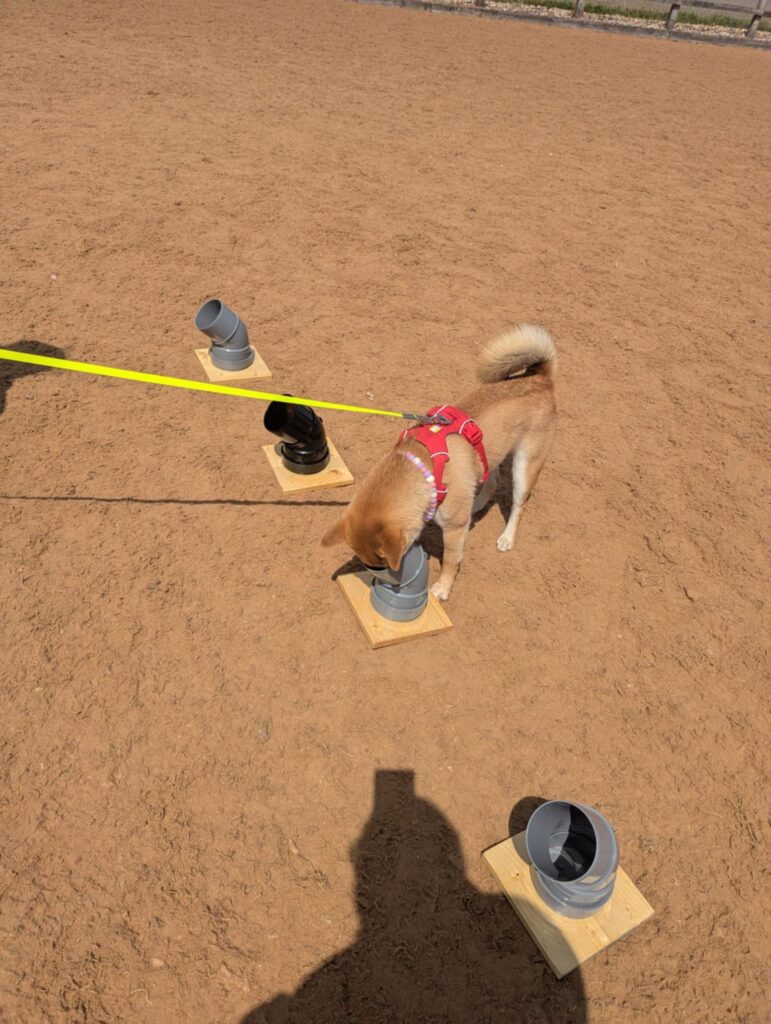 563f7012 dc28 4912 a7bf 6aa2ebc9e15a