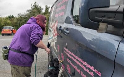 Scentwork- the power of your dog’s sense of smell