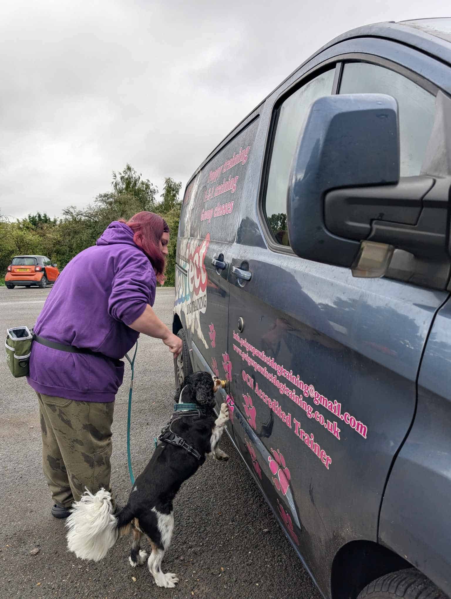 adf1bf9a b6f5 4f62 aab9 d1da9c56af87 adf1bf9a b6f5 4f62 aab9 d1da9c56af87