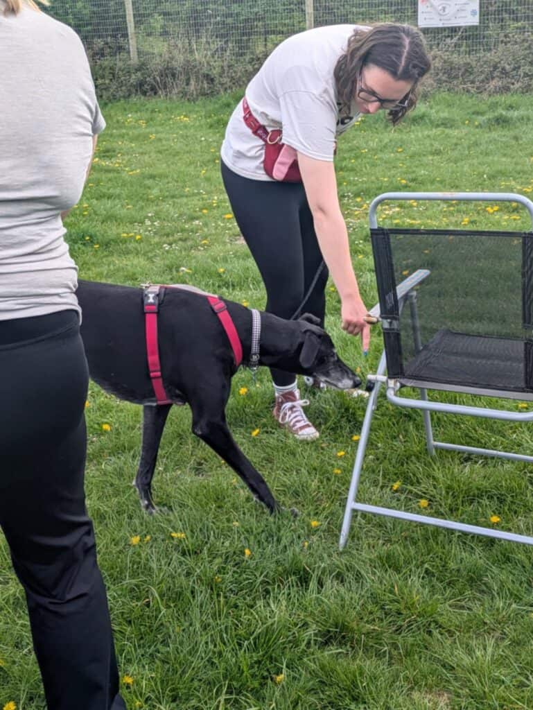 e2353e12 8e7f 467d b4b7 04e3d176120c